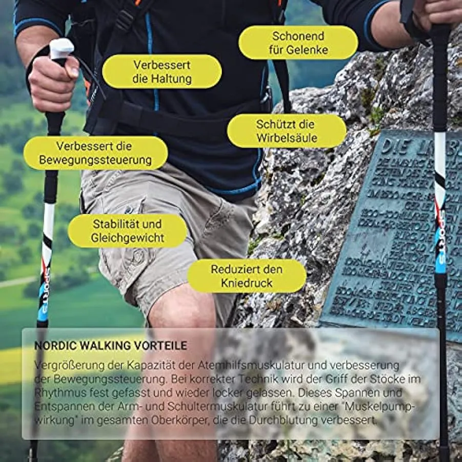 MSPORTS Bastoncini da Trekking Premium in Carbon – Ultraleggero – Nordic Walking (MSPORTS Bastoncini da Trekking Premium in Carb